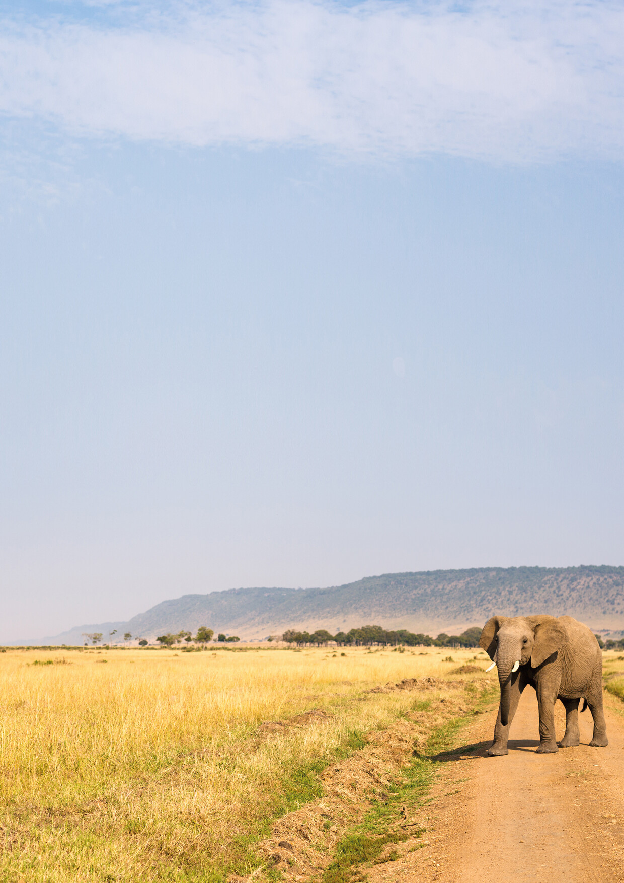 Madaraka Express Taita Hills Package