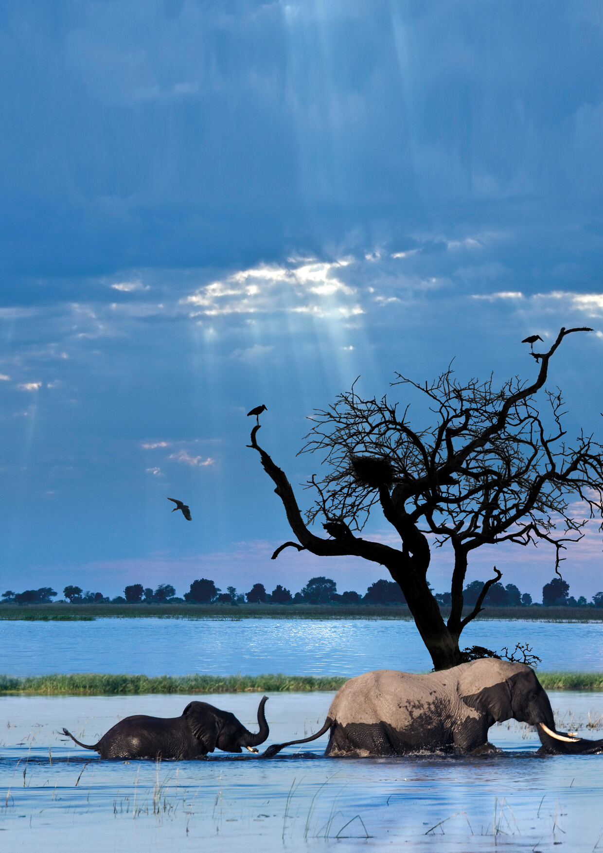 Victoria Falls & Chobe Explorer