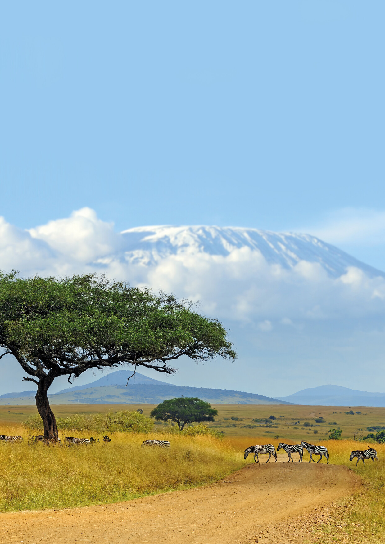 9-days Safari to Tarangire, Serengeti, Ngorongoro, Lake Manyara