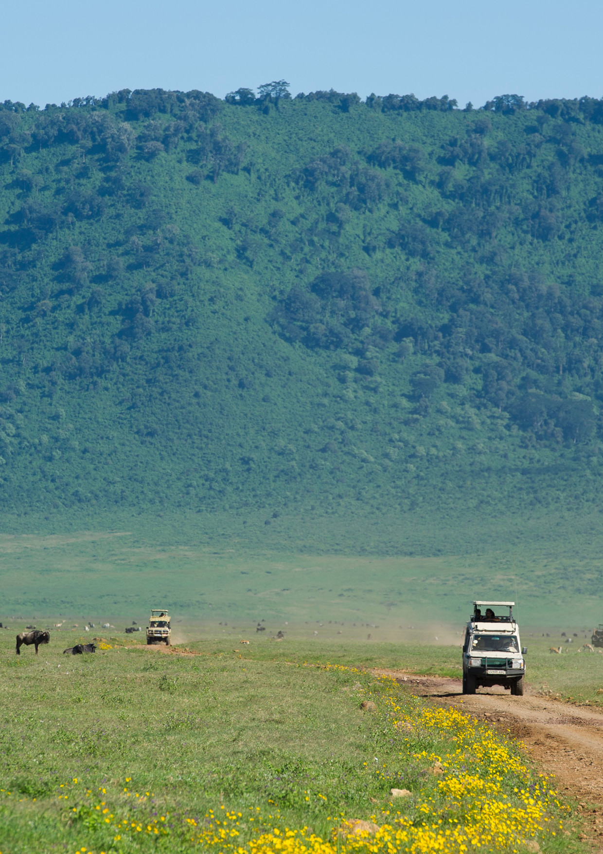 7 Day Safari - Northern Circuit 