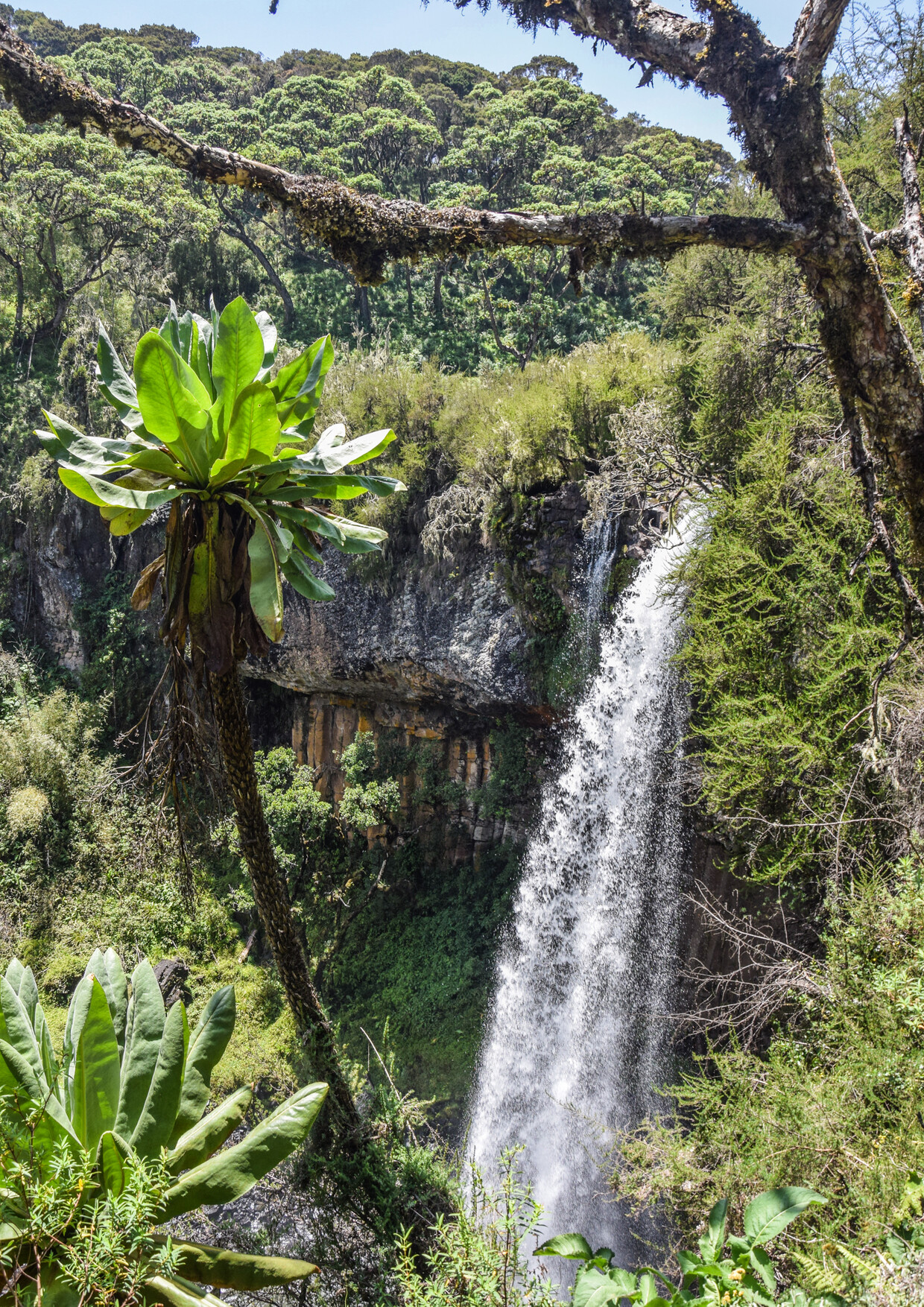 10-Day Experience Luxury Kenya Honeymoon Safari