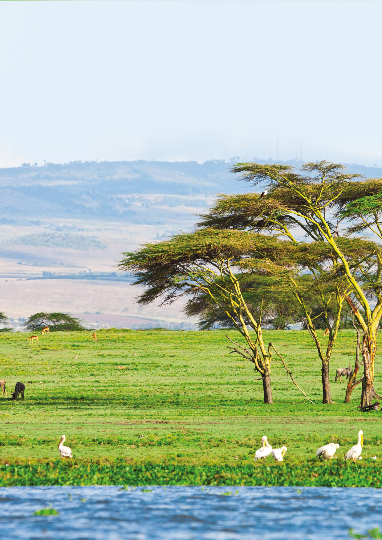 1 Night/2 Days Naivasha