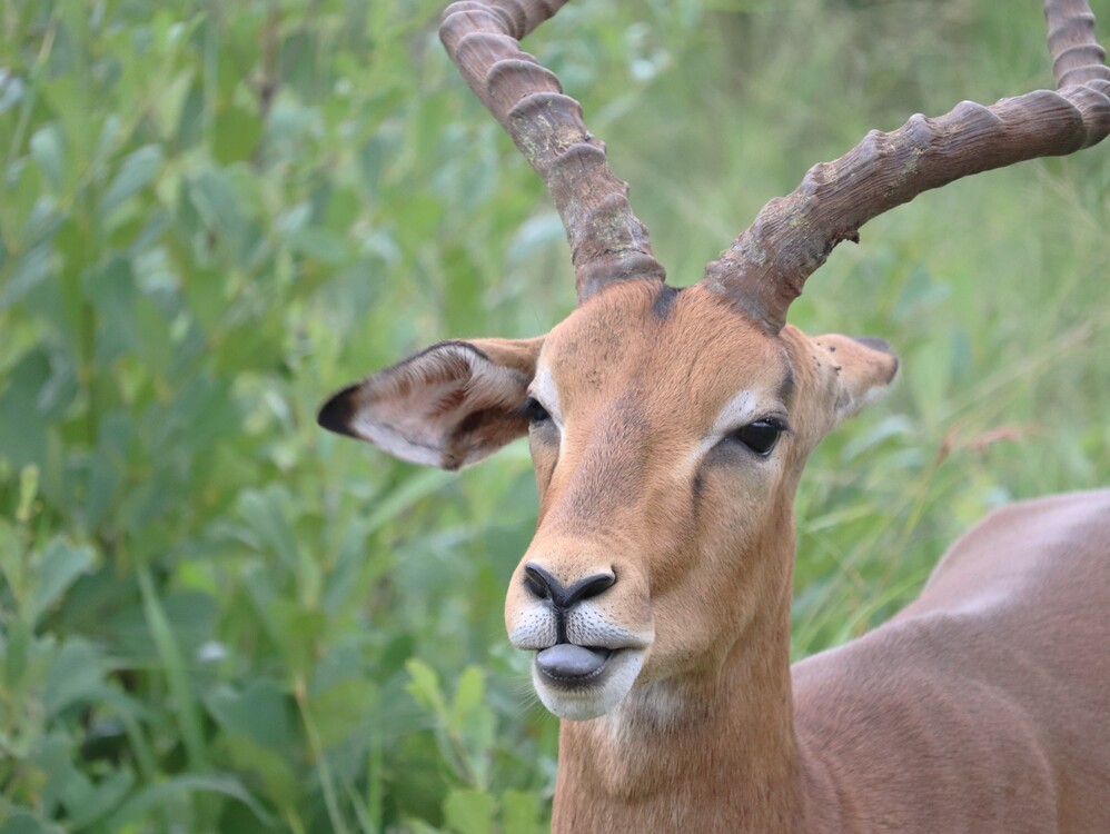 9-Day Victoria Falls, Chobe, Makgadikgadi & Okavango