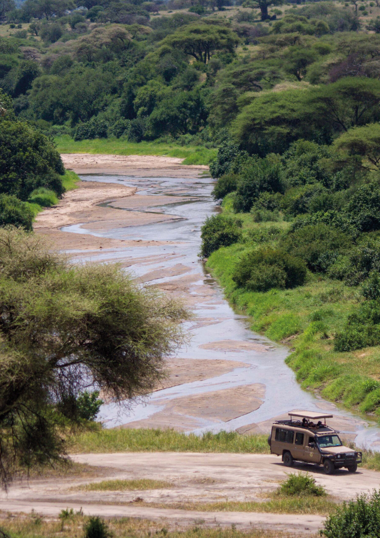 13-Day Great Migration Calving & Cultural Explorer