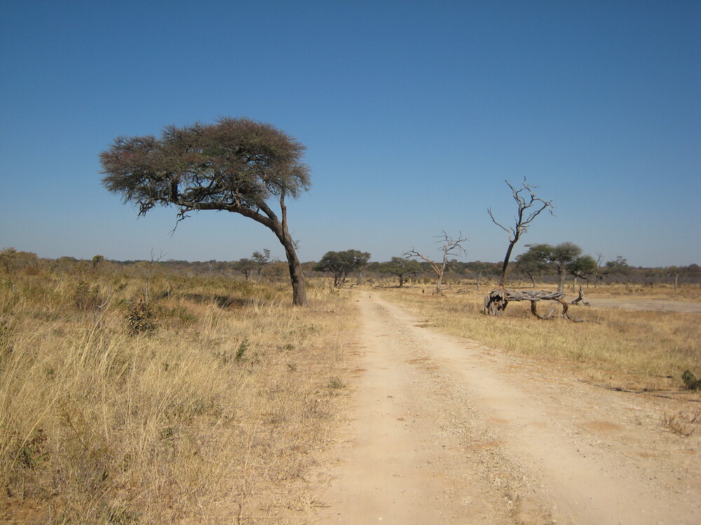 7-Day Hwange National Park, Chobe NP and Victoria Falls